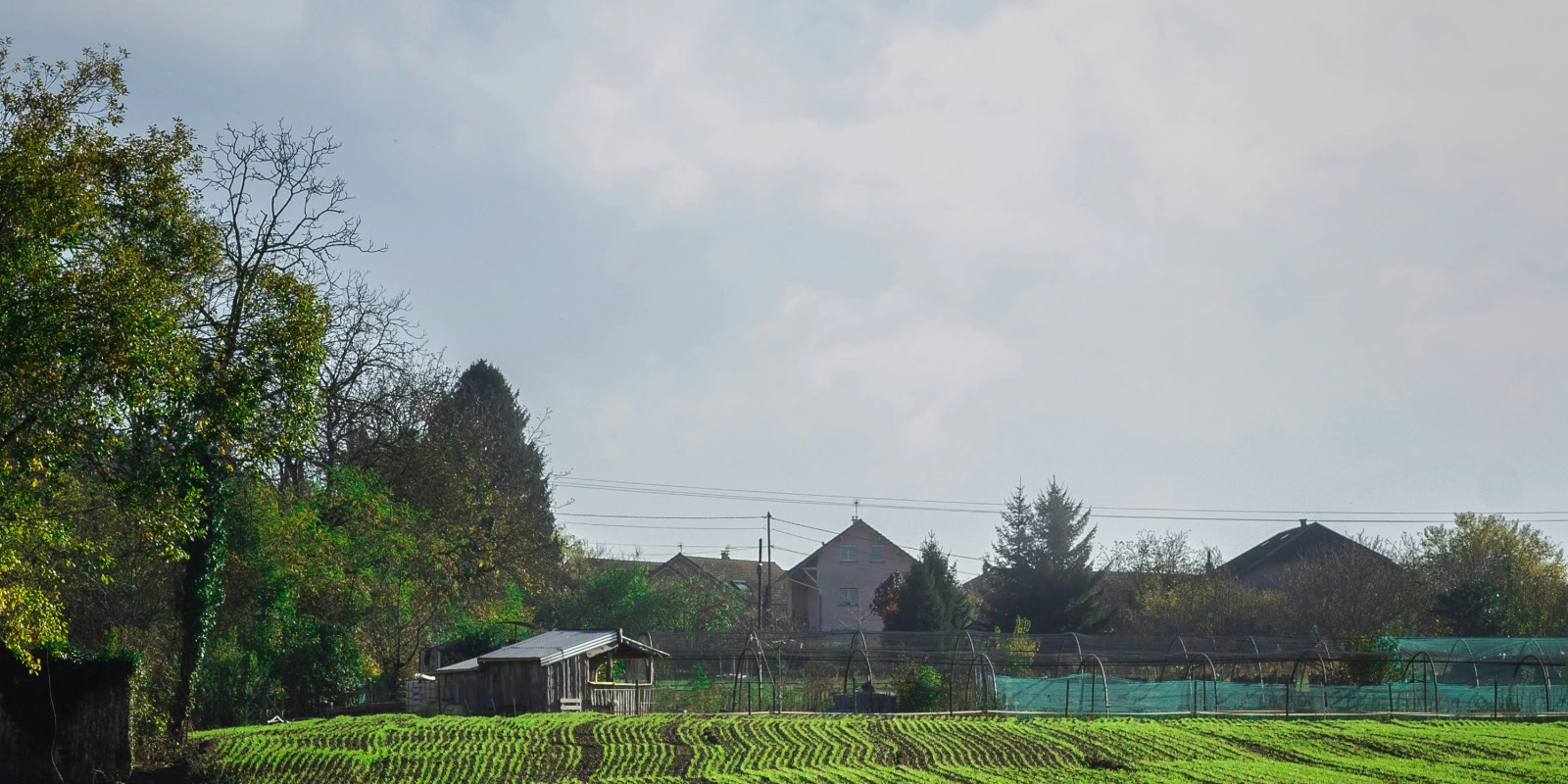 Alternance BTSA GEMEAU en Île-de-France : Opportunités et Entreprises