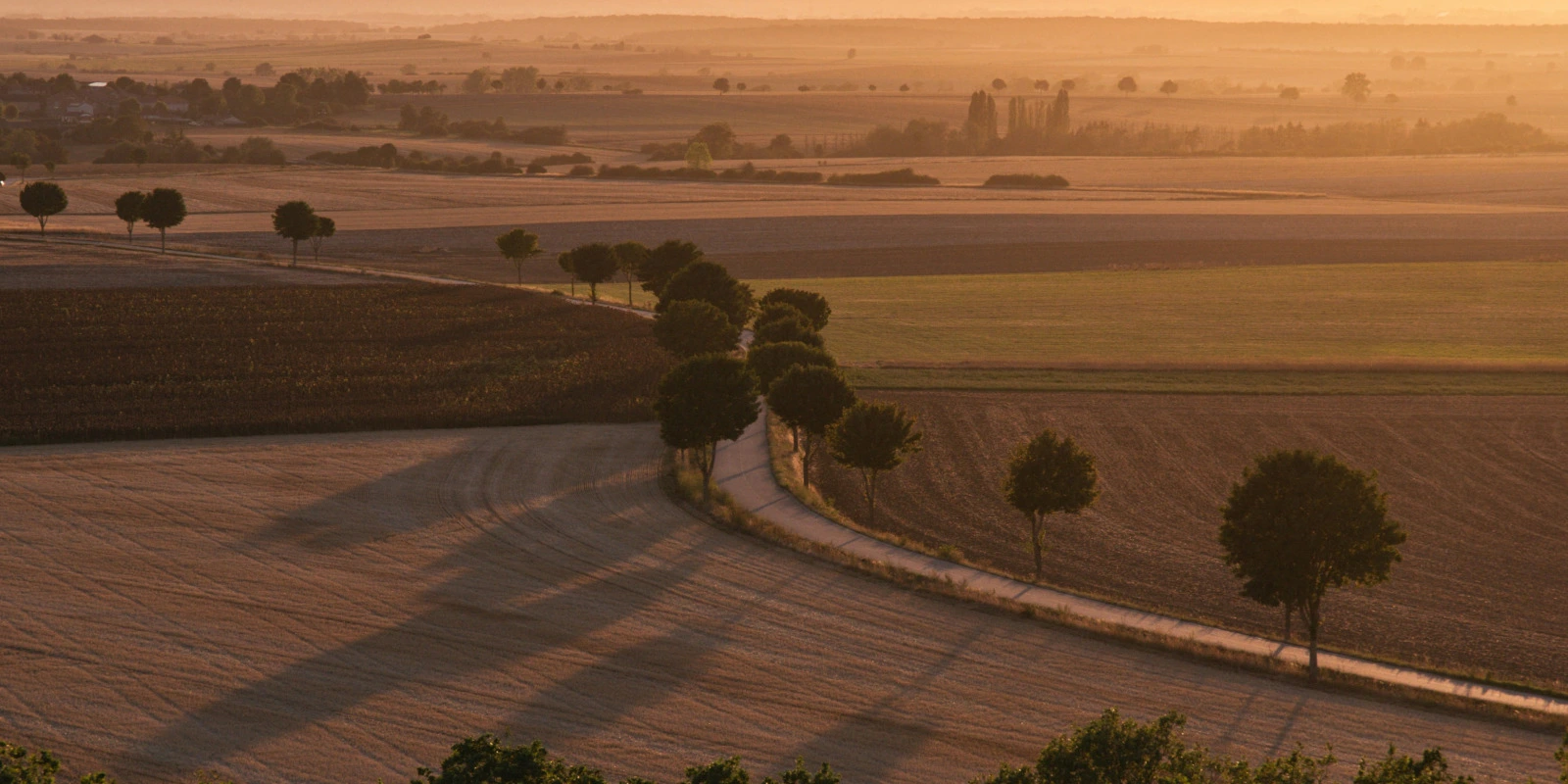 BTSA GEMEAU à Rennes : Informations et Avis