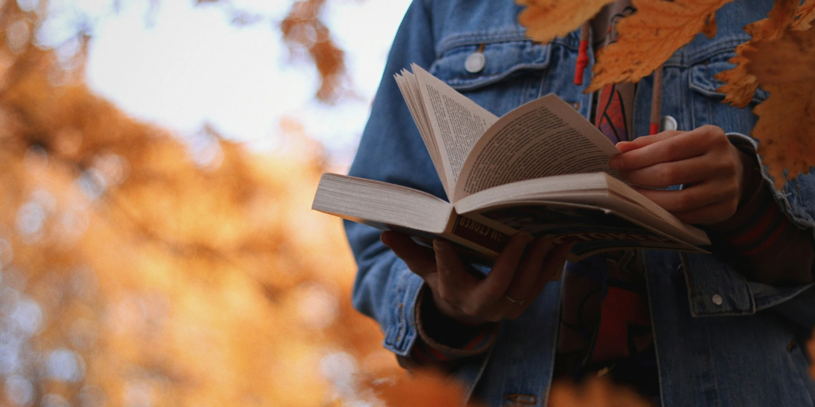 Stages en BTSA GEMEAU : Trouver et Réussir Son Stage